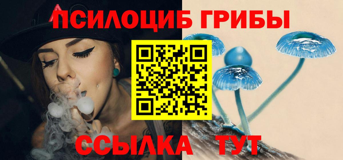 Псилоцибиновые грибы Magic Shrooms Великие Луки